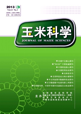 玉米科学