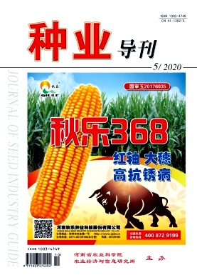 种业导刊