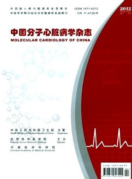 中国分子心脏病学杂志