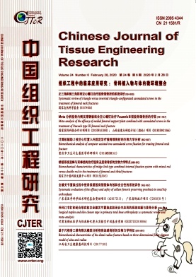 中国组织工程研究