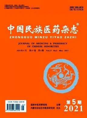 中国民族医药杂志